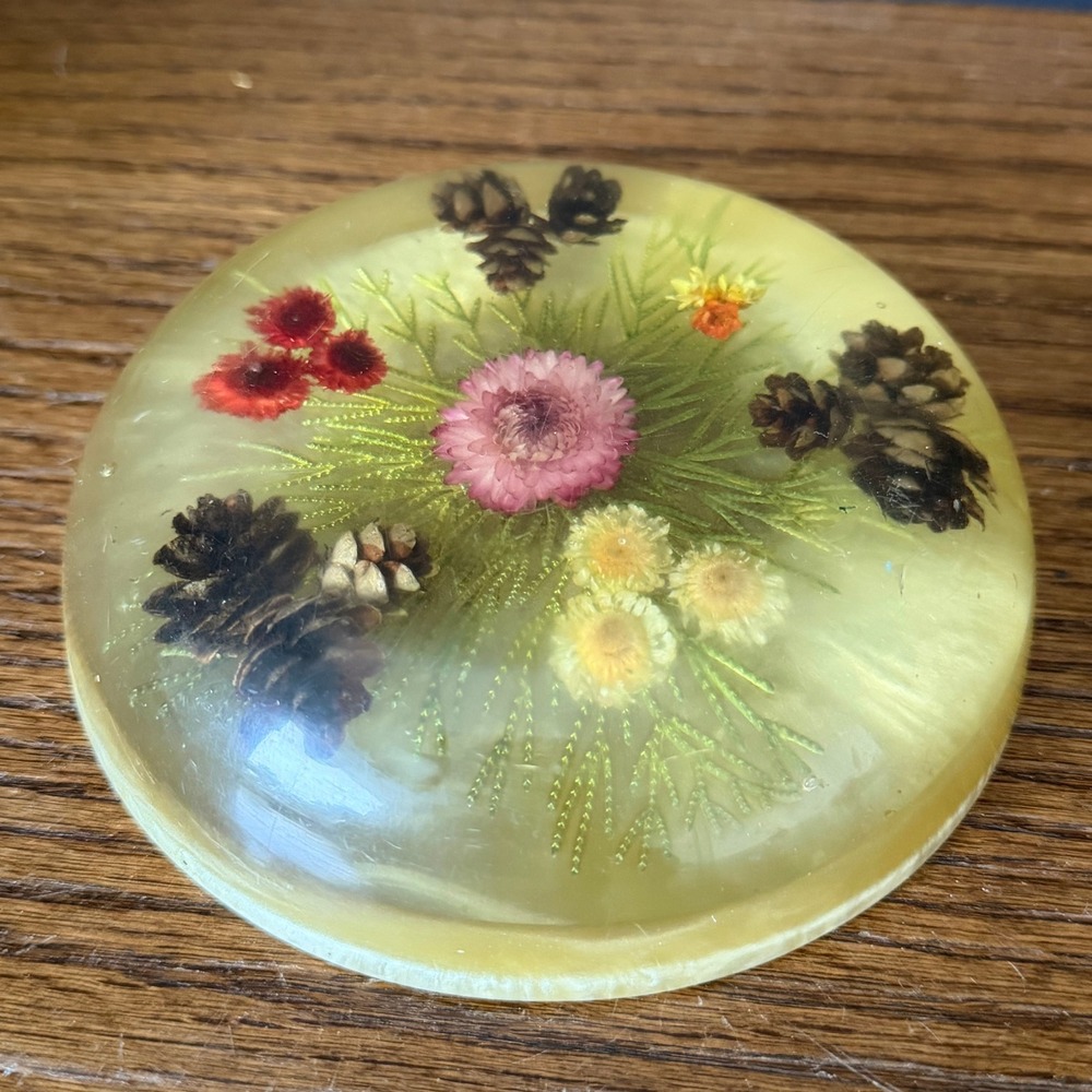 Vintage Resin Paperweight Dried Flower Pinecone Botanical Mid Century Decor 5.5"